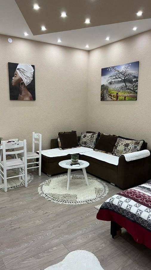 Apartment Downtown Podgorica Zewnętrze zdjęcie
