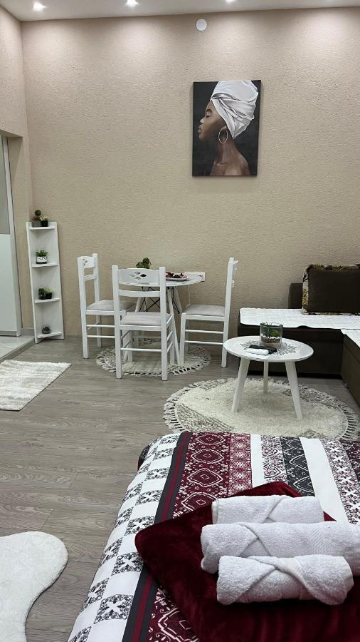 Apartment Downtown Podgorica Zewnętrze zdjęcie