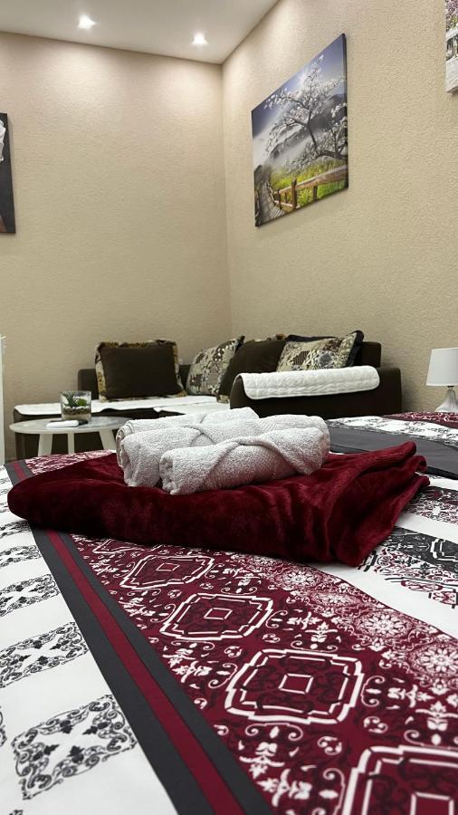 Apartment Downtown Podgorica Zewnętrze zdjęcie
